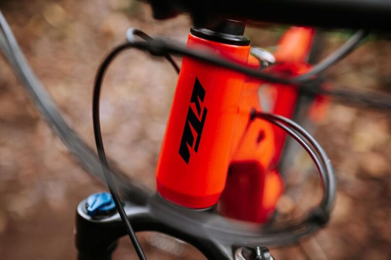 E-Bike Guided Tour - Mountain Biking Experience - Biking Experience