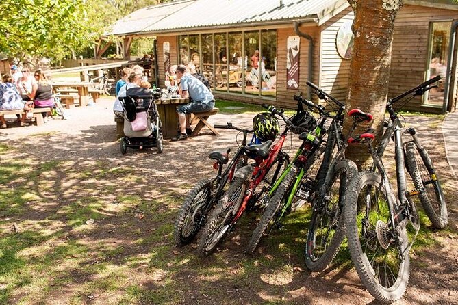 E-Bike Half-Day Trip to Harrys Rock or Corfé Castle - Meeting and Pickup