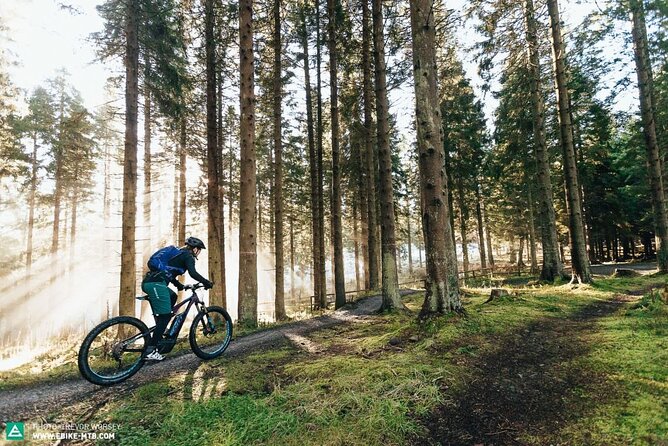 E-Bike Half-Day Trip to Harrys Rock or Corfé Castle - Accessibility and Restrictions