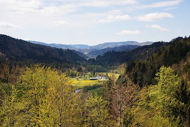 E-Bike Holidays: Trans Slovenia E-Bike Tour - Day 4: Pokljuka Bike Tour