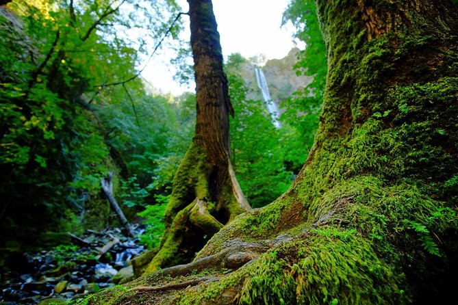 E-bike in Oregon's Columbia River Gorges - Itinerary and Activities