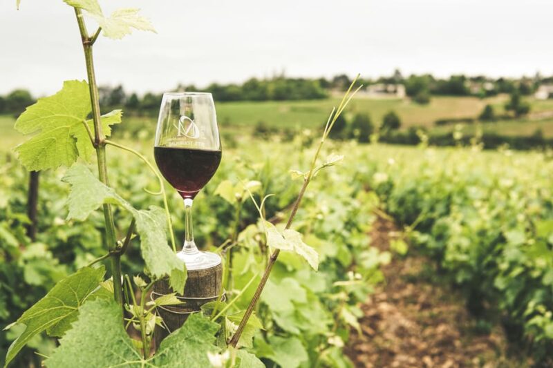 E-Bike Journey From Bordeaux to Saint-Emilion - Cycling Through the Entre-Deux-Mers Region