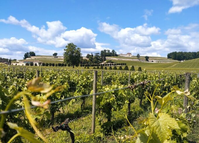 E-Bike Journey From Bordeaux to Saint-Emilion - Inclusions, Requirements, and Additional Information