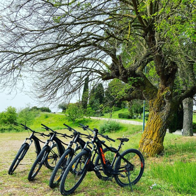 E-Bike Mtb Front- Full Day - Included Services