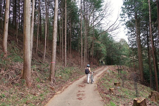 E-BIKE Nature Tour: Birthplace of Japan, Asukamura - Exploring Asukamuras Historical Roots