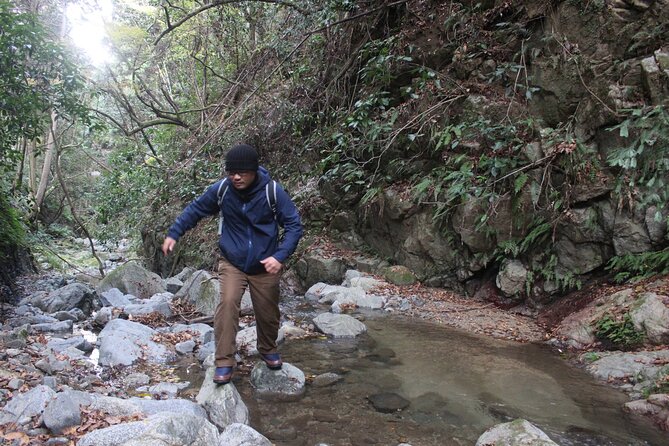 E-BIKE Nature Tour: Birthplace of Japan, Asukamura - Discover Hidden Gems of Asukamura