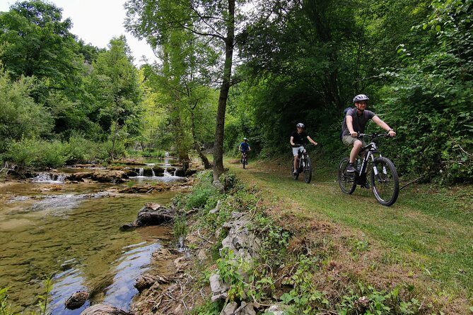 E-Bike Rent - Rental Experience Highlights