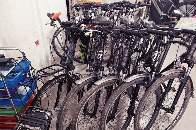 E-Bike Rental in Lucca - E-Trekking Bike Features