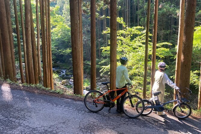 E-bike Rental in Okutama, Tokyo - Confirmation, Cancellation, and Booking Options