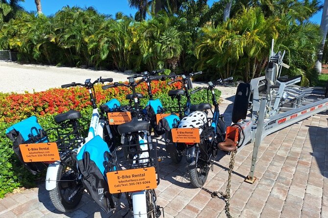 E-Bike Rental in the Florida Keys - Customer Feedback and Highlights