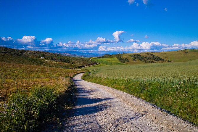 E-Bike Rental Sierra De Las Nieves (Alozaina). Free GPS Tracks and App Included. - Operating Hours and Availability