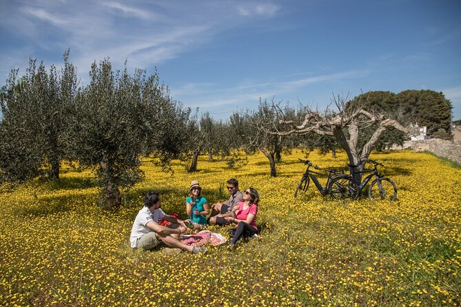 E-Bike Ring Tour Between Locorotondo and Martina Franca - Scenic Route Overview