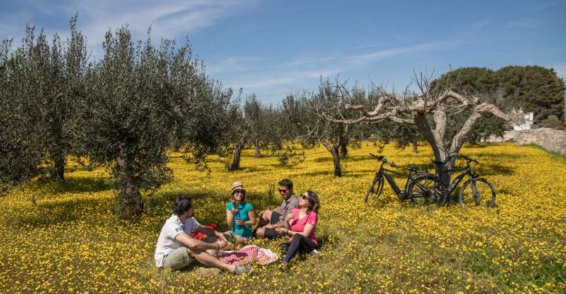 E-Bike Ring Tour Between Locorotondo and Martina Franca - Pricing and Duration
