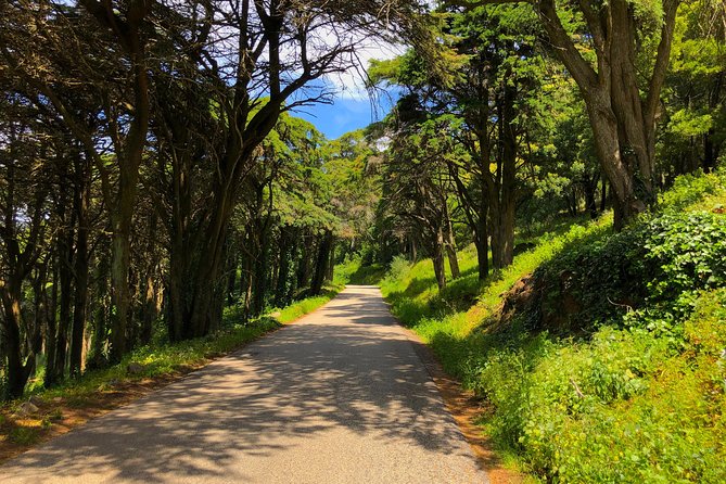 E-Bike Self-Guided Sintra - Cascais (Private Tour From Lisbon) - Included Amenities