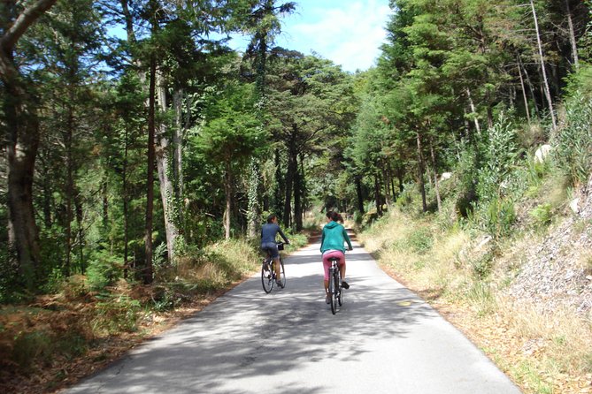 E-Bike Self-Guided Sintra - Cascais (Private Tour From Lisbon) - Booking and Inquiries