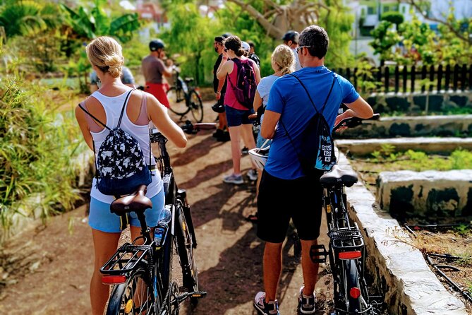 E-Bike Sightseeing Tour at Sunset or in the Morning : Maspalomas and Meloneras - Participants and Requirements