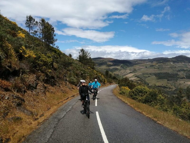 E-Bike Through Douro Valley Wine Region for Half Day Tour - Key Points
