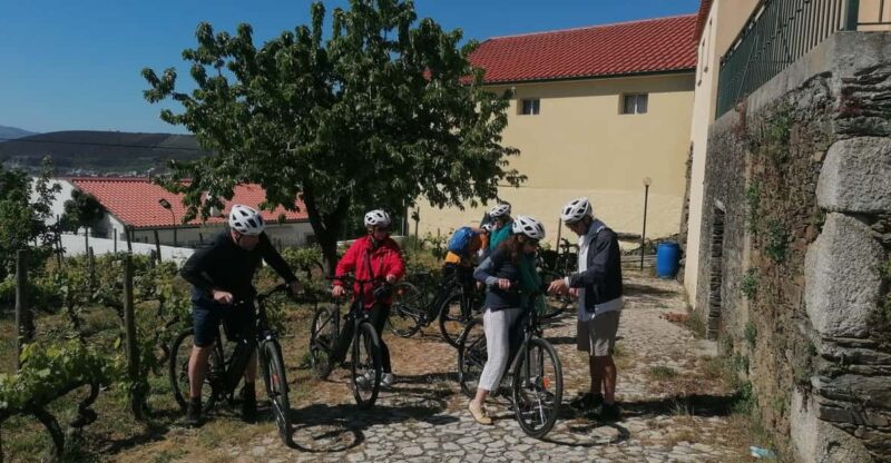 E-Bike Through Douro Valley Wine Region for Half Day Tour - Tour Overview and Details