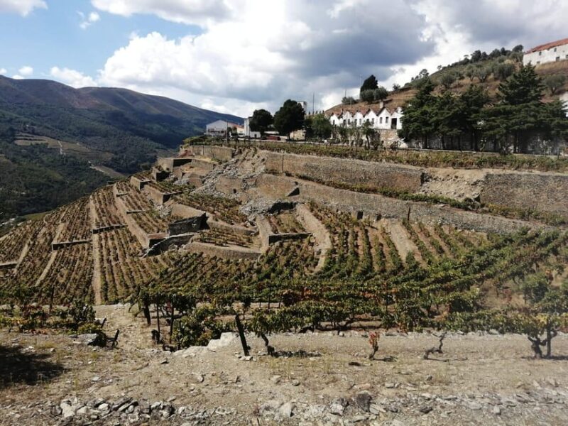 E-Bike Through Douro Valley Wine Region for Half Day Tour - Tour Highlights and Locations