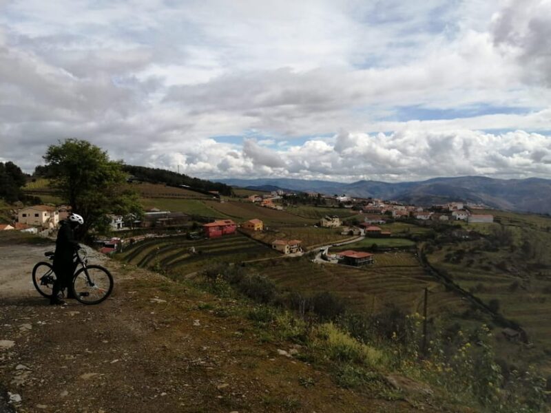 E-Bike Through Douro Valley Wine Region for Half Day Tour - Inclusions