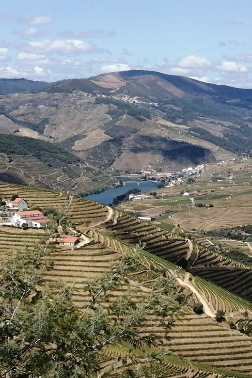 E-Bike Through Douro Valley Wine Region for Half Day Tour - Meeting Point and Preparation