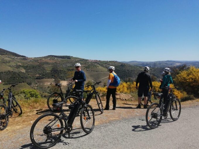E-Bike Through Douro Valley Wine Region for Half Day Tour - Interaction With Nature