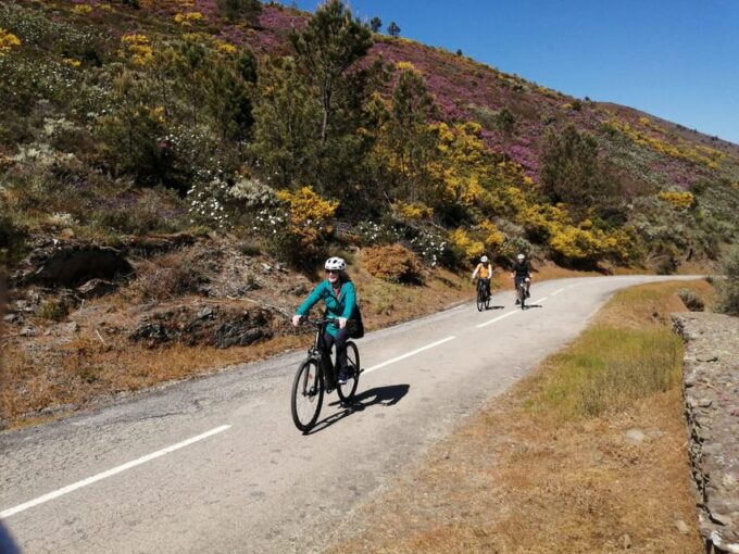 E-Bike Through Douro Valley Wine Region for Half Day Tour - Frequently Asked Questions