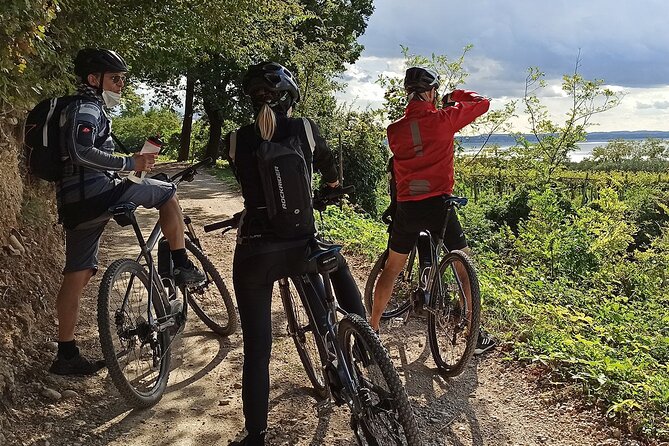 E-Bike Tour and Wine Tasting From Bardolino - Traveler Feedback