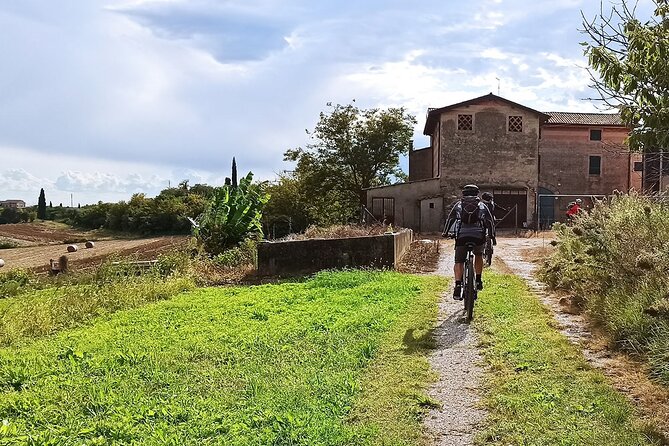 E-Bike Tour and Wine Tasting From Bardolino - Wine Tasting Experience