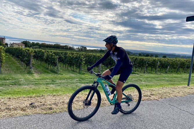 E-Bike Tour and Wine Tasting From Desenzano Inland - Key Points