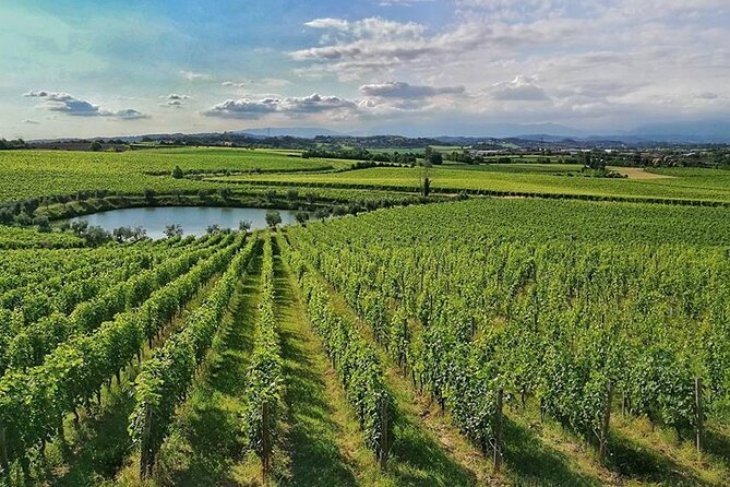 E-Bike Tour and Wine Tasting From Desenzano Inland - Inclusions