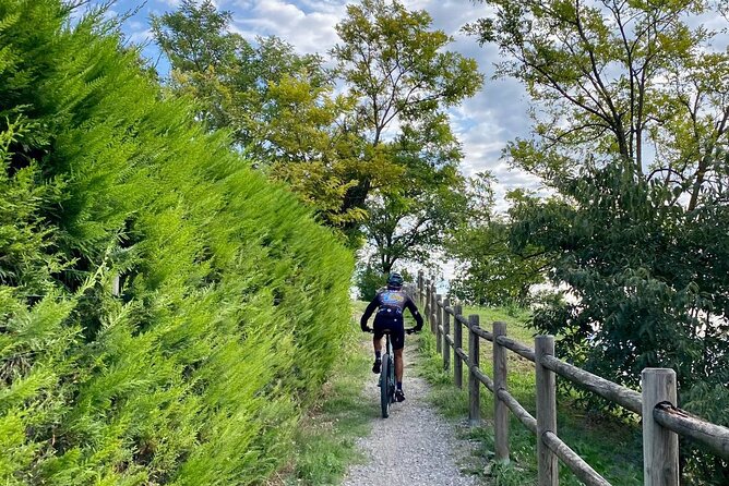 E-Bike Tour and Wine Tasting From Desenzano Inland - Scenic Countryside Exploration