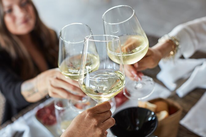 E-Bike Tour and Wine Tasting From Desenzano Inland - Tasting Experience