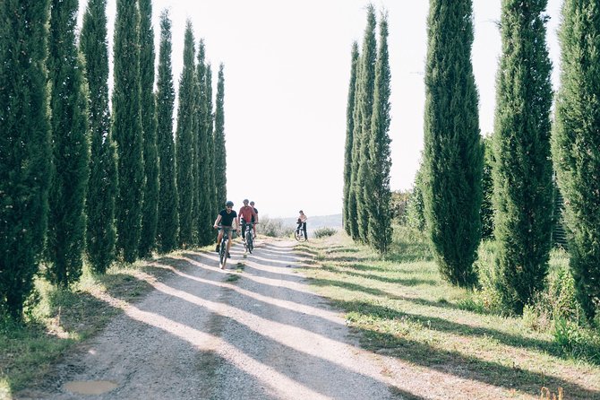 E-Bike Tour and Wine Tasting From Siena - Meeting the Winery Owners