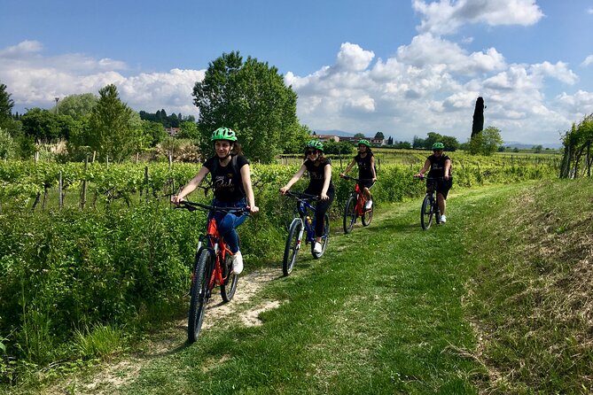 E-Bike Tour and Wine Tasting in Lazise Countryside - Quick Points
