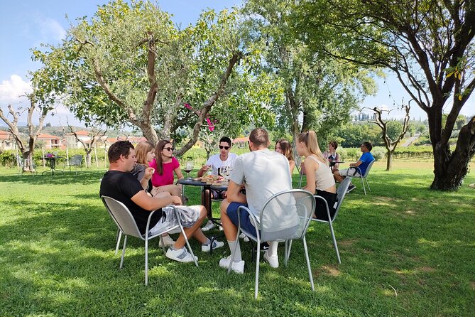E-Bike Tour and Wine Tasting in Lazise Countryside - Inclusions and Offerings