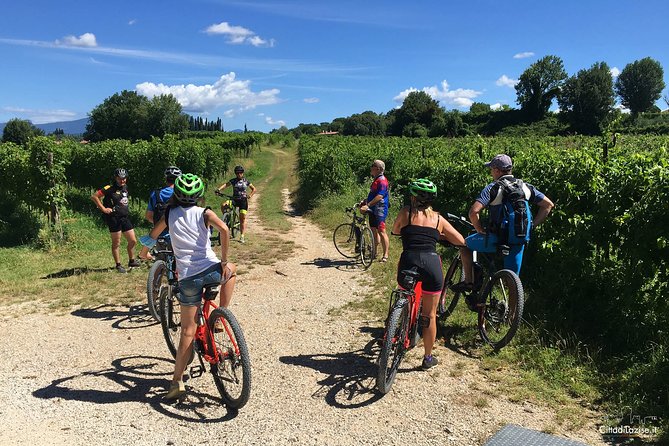 E-Bike Tour and Wine Tasting in Lazise - Exploring Vineyards and Olive Groves