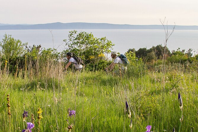 E-Bike Tour at Historical Villages of Makarska - Knowledgeable Guide