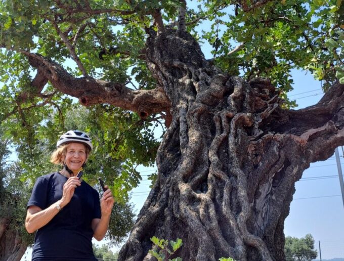 E-Bike Tour From Monopoli to the Rocky Village of St. Andrew - Exploring Monopolis Historic Center