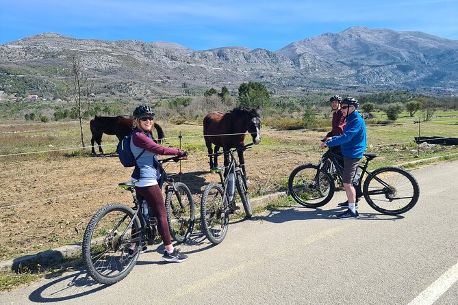 E-Bike Tour + Gourmet Lunch + Wine Tasting (Small Group) - Inclusions