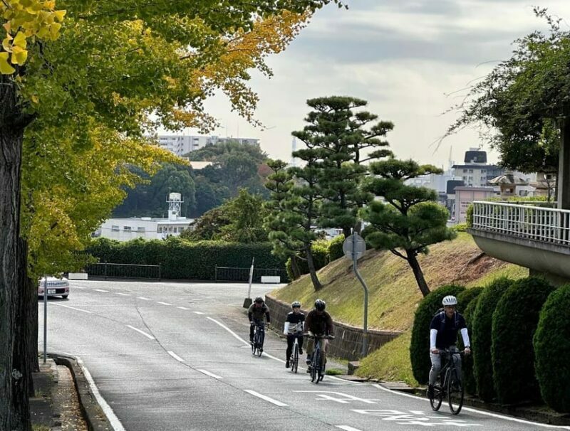 e-bike tour Himeji Castle Town along the old roads - An In-Depth Look at the Himeji Castle Town E-Bike Tour