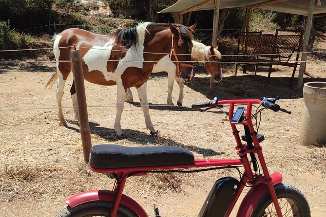 E-Bike Tour in Albufeira - Booking and Cancellation Policy
