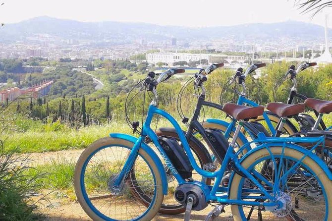 E-Bike Tour in Barcelona With English Guide - Tailored Recommendations
