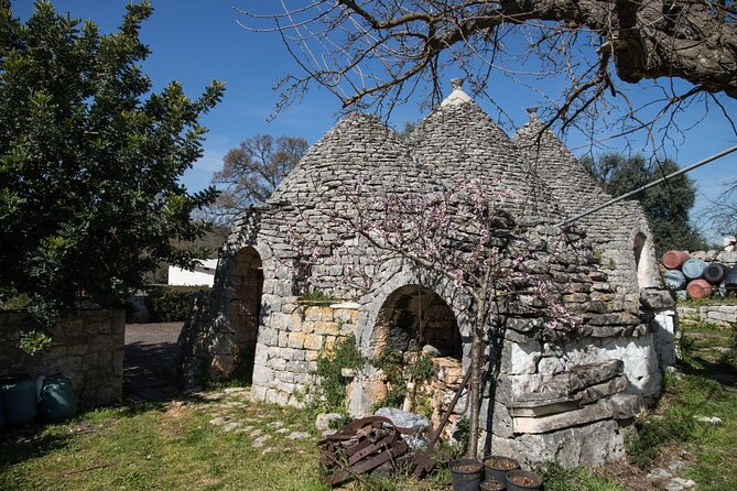 E-Bike Tour in Locorotondo, Oil Mill Visit and EVO Oil Tasting - EVO Oil Tasting