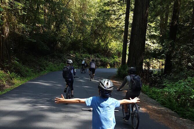 E-Bike Tour in the Avenue of the Giants Redwood Forests - 4 Hours - A Closer Look at the Tour Experience