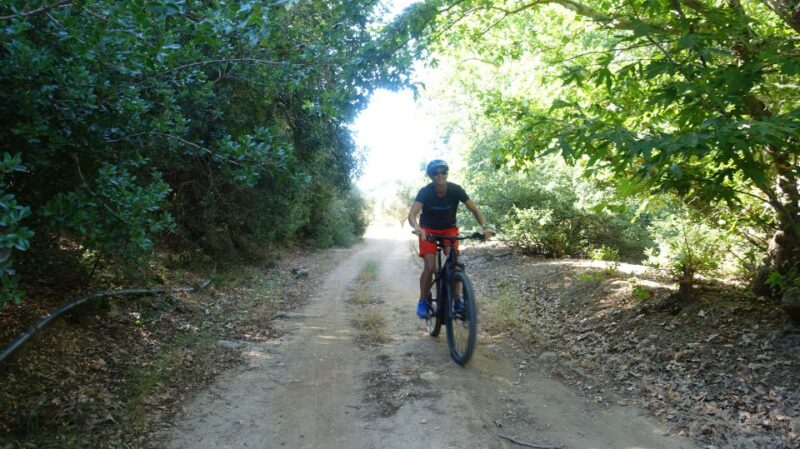 E-Bike Tour in the Cretan Nature With Traditional Brunch - Bike Ride Experience