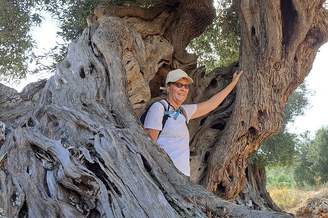 E-Bike Tour in the Plain of the Secular Olive Trees of Ostuni - Key Points