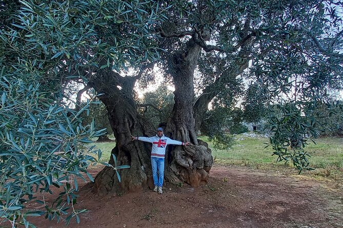 E-Bike Tour in the Plain of the Secular Olive Trees of Ostuni - Meeting and Pickup Details