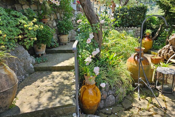 E-Bike Tour in the Sorrento Peninsula and Visit to Acetaia - Inclusions