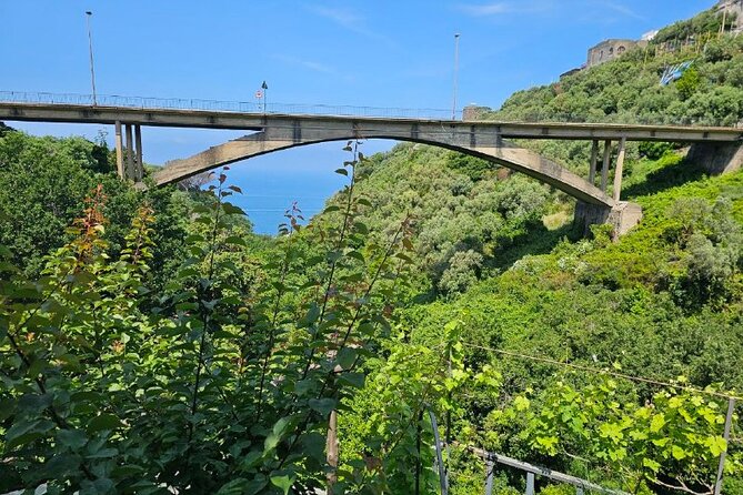 E-Bike Tour in the Sorrento Peninsula and Visit to Acetaia - Balsamic Vinegar Tasting